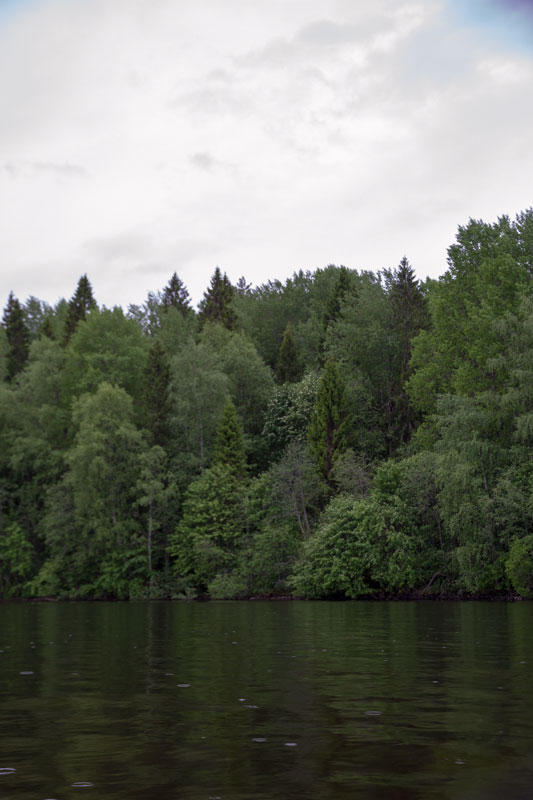 V_8118.jpg