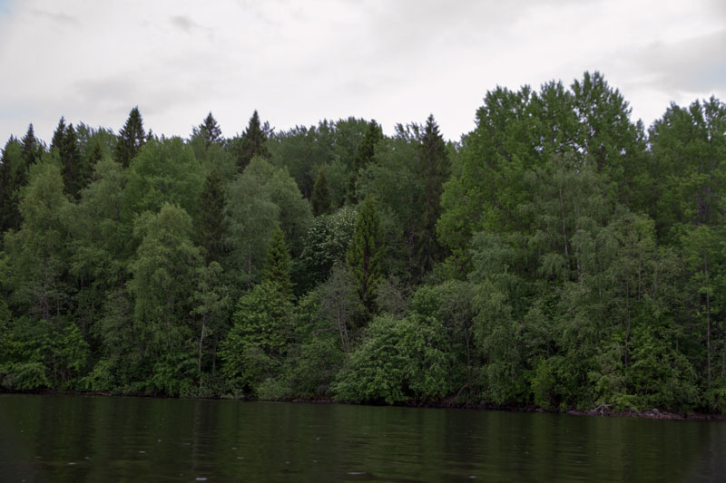 V_8119.jpg