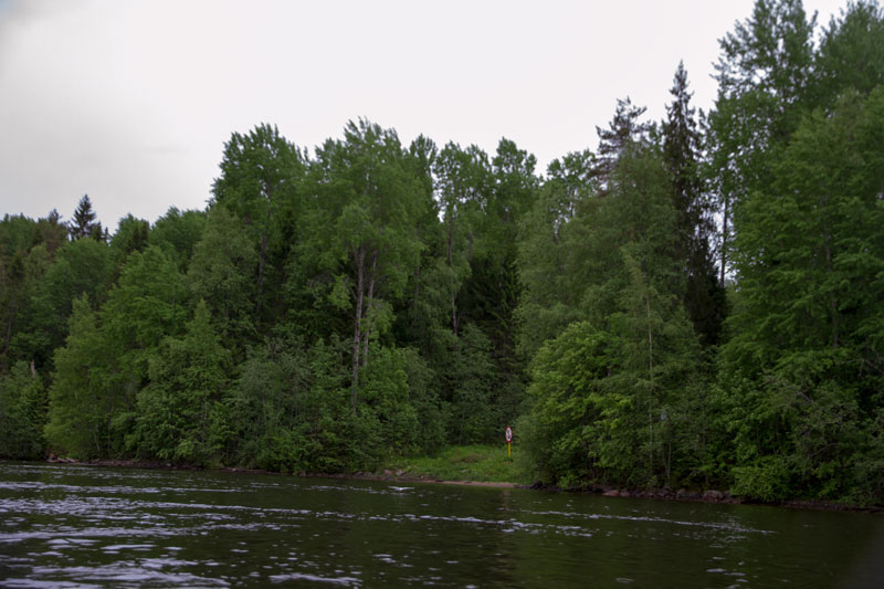 V_8121.jpg