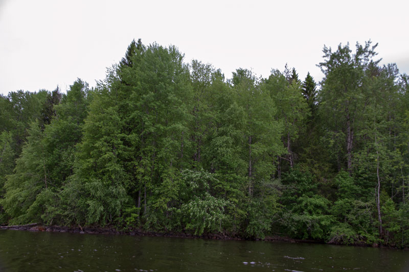 V_8122.jpg