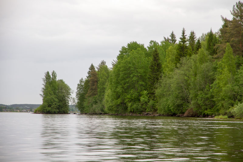 V_8127.jpg