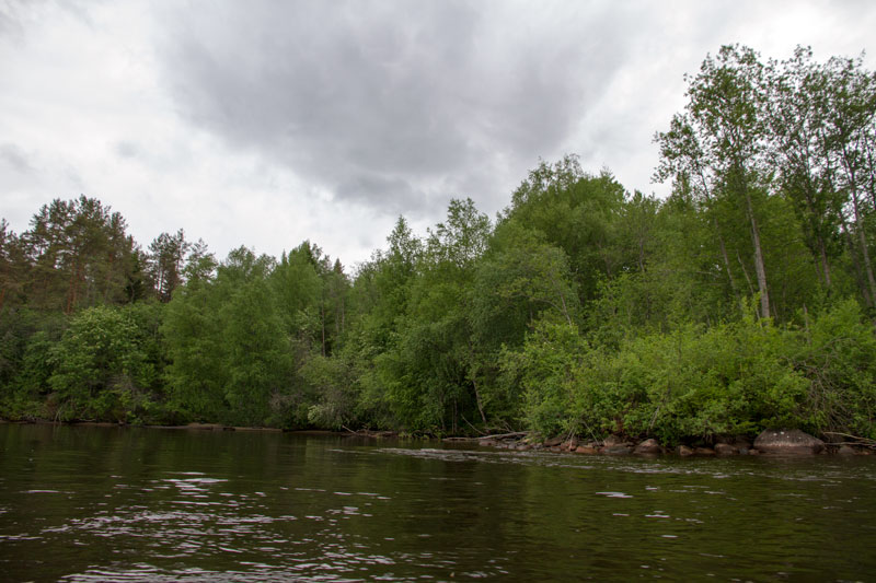 V_8130.jpg