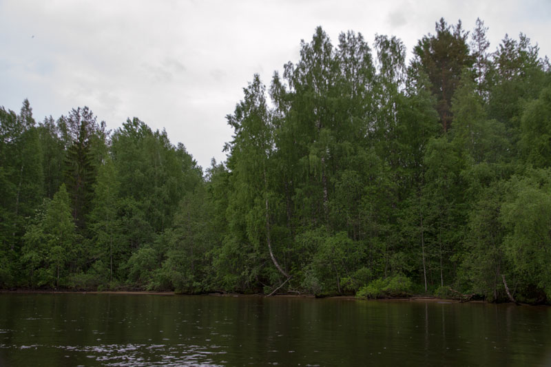 V_8133.jpg