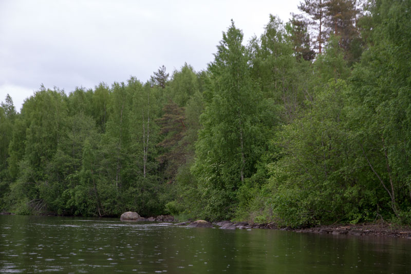 V_8134.jpg