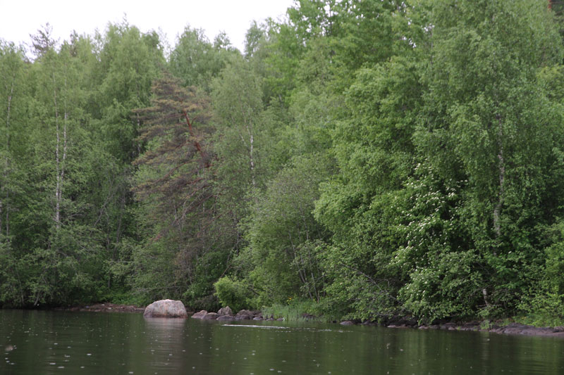V_8135.jpg