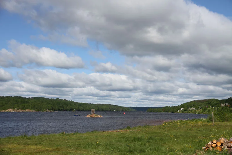 V_8156.webp