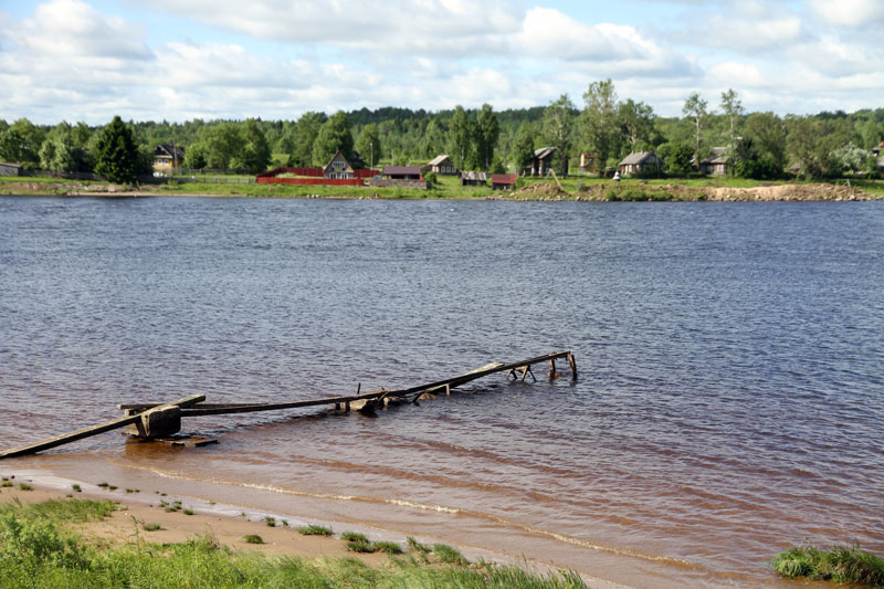 V_8164.jpg