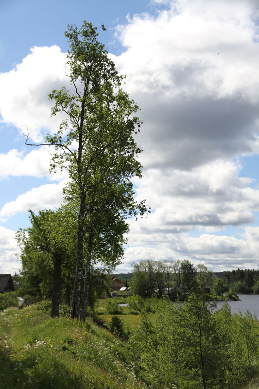 V_8167.jpg
