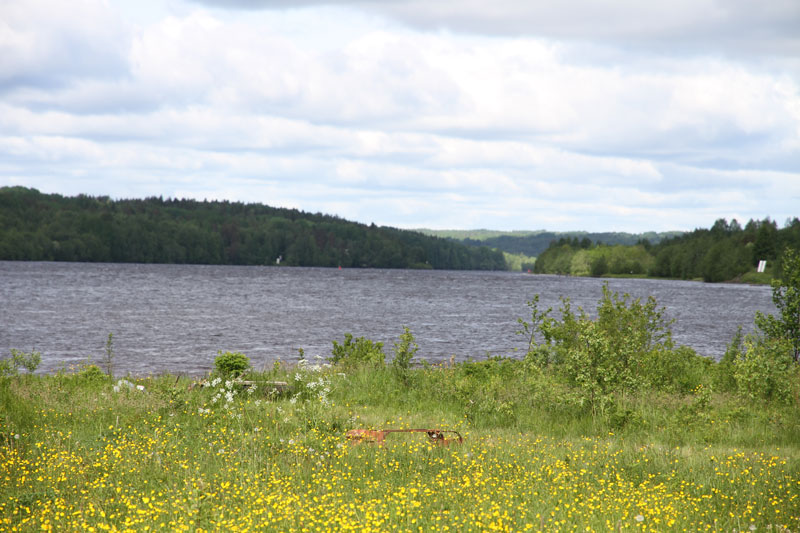 V_8174.jpg