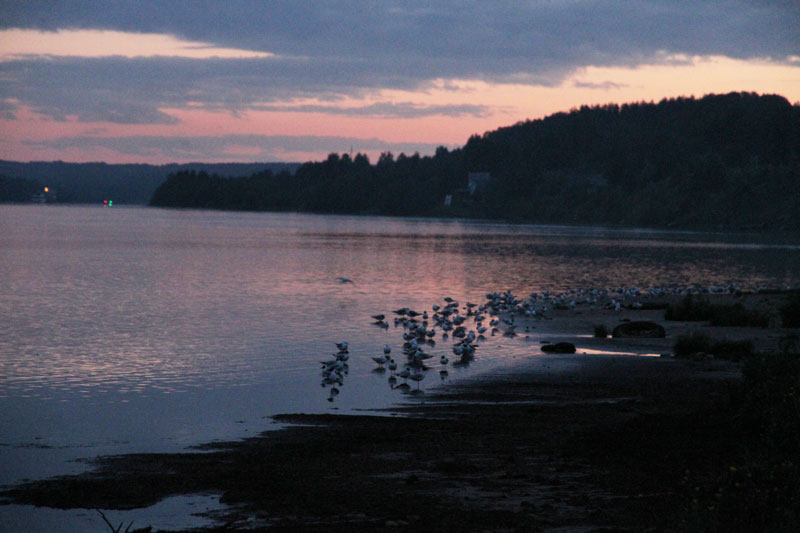 V_8178.jpg