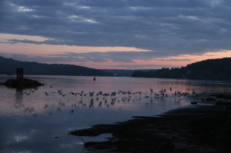 V_8180.jpg