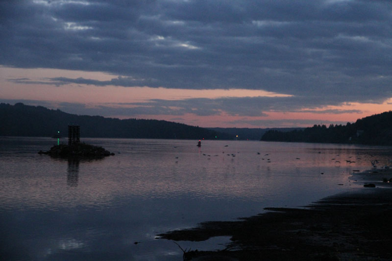 V_8182.jpg