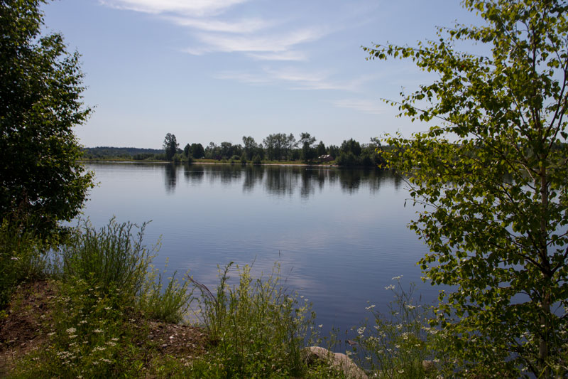 V_8187.jpg