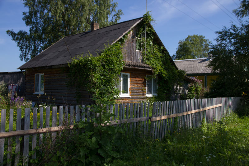 V_8196.jpg