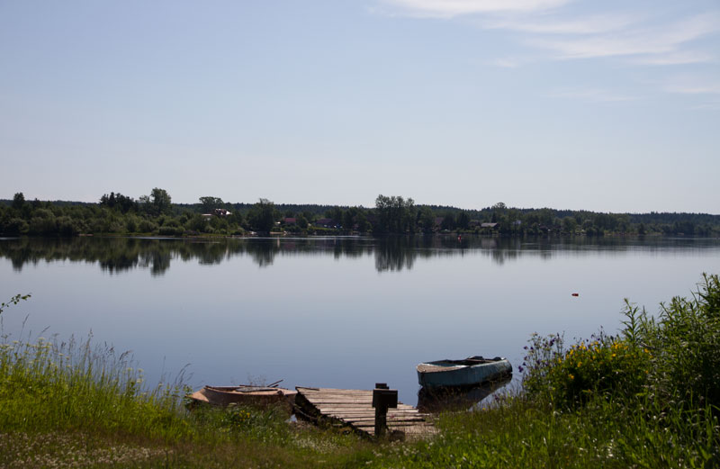 V_8203.jpg