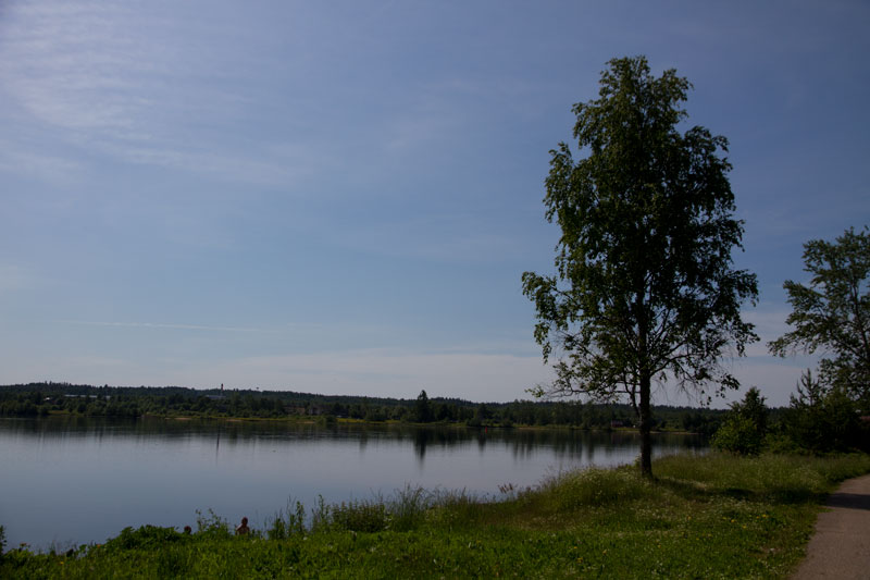V_8230.jpg