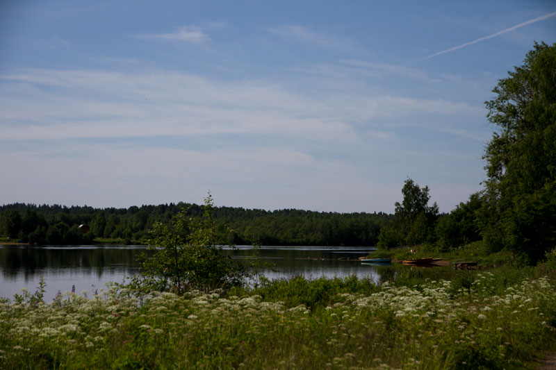 V_8231.jpg