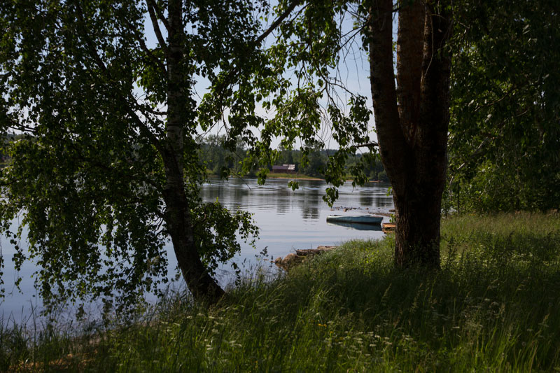 V_8233.jpg