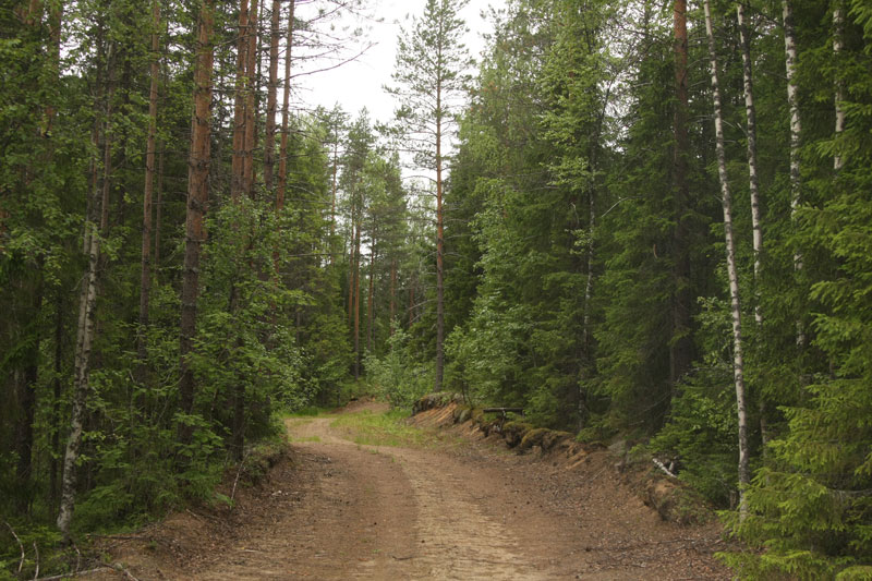v_8288.jpg
