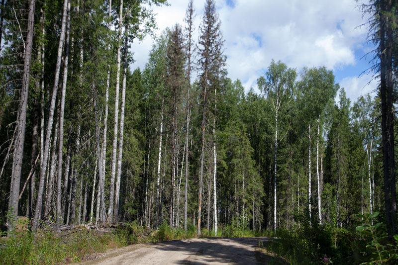 V_8956.jpg