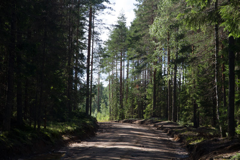 V_8964.jpg