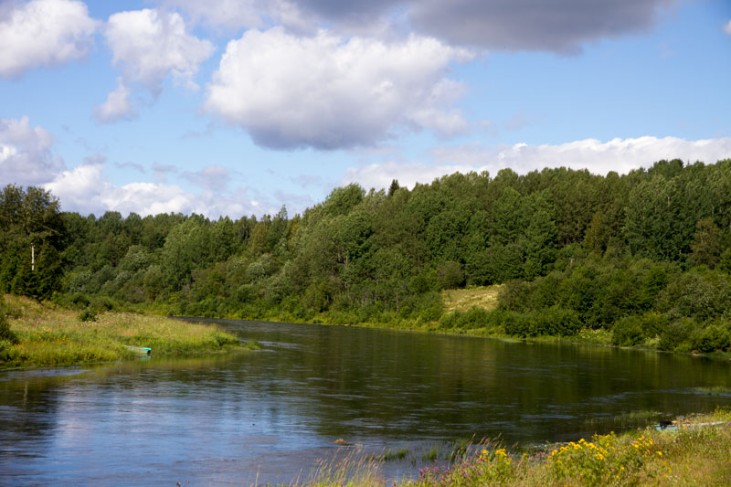 V_8967.jpg