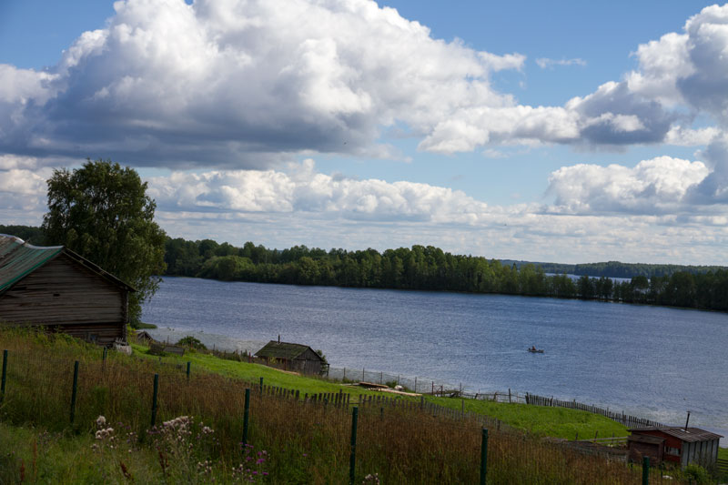 V_8981.jpg