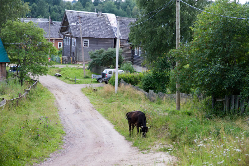 V_8983.jpg