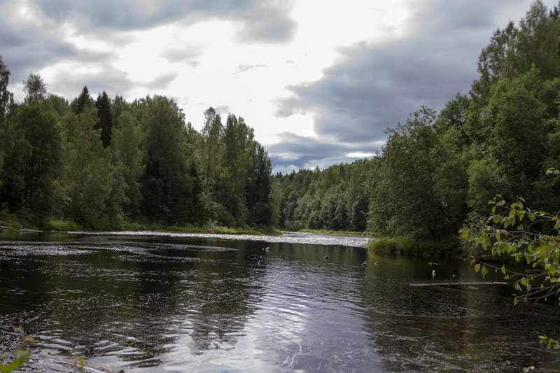 V_9001.jpg