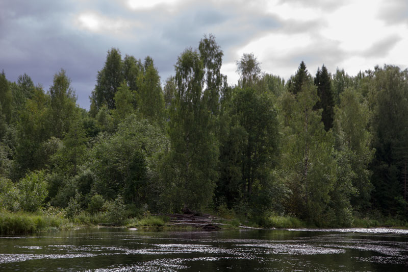 V_9002.jpg