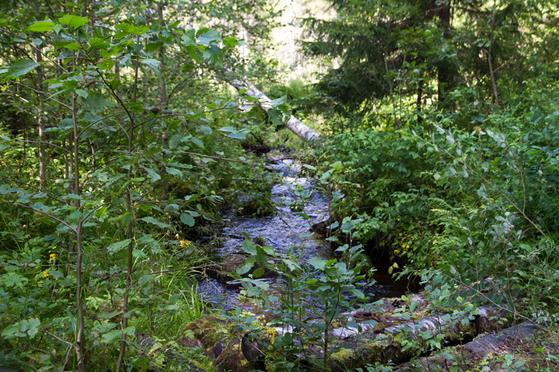 V_9010.jpg