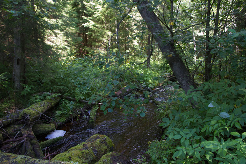 V_9012.jpg