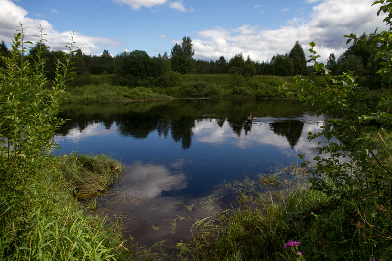 V_9013.jpg