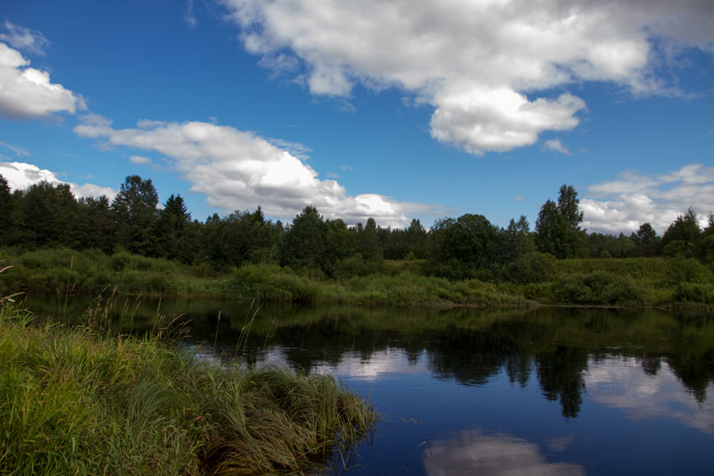 V_9017.jpg