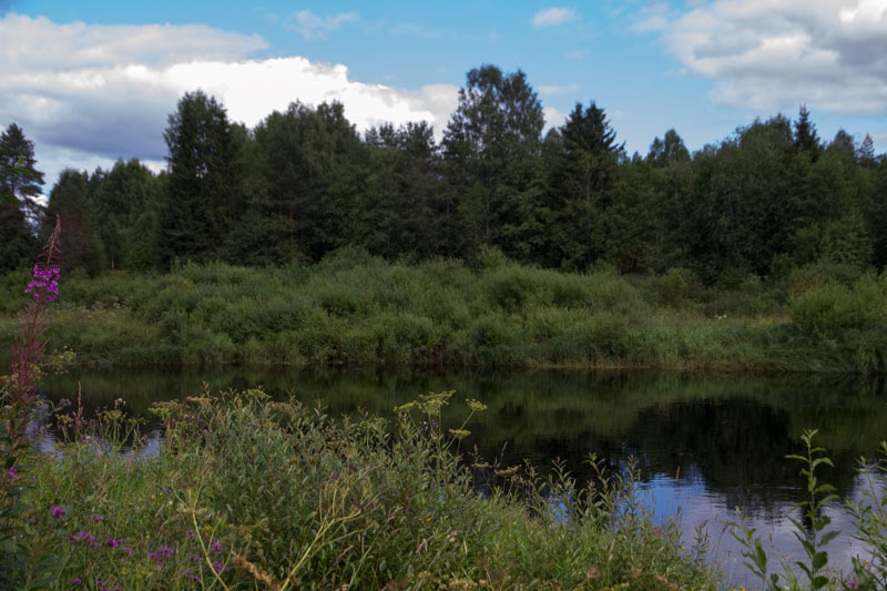 V_9018.jpg