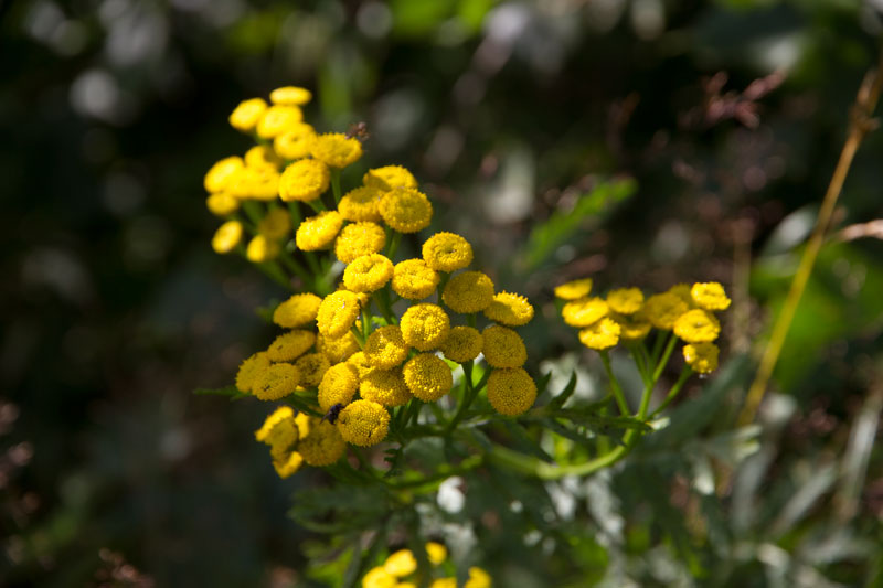 V_9029.jpg