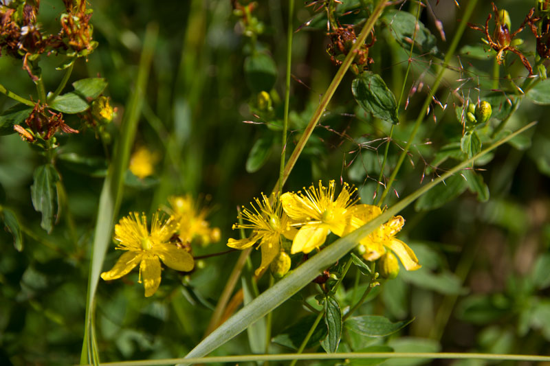 V_9038.jpg