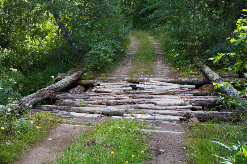 V_9040.jpg