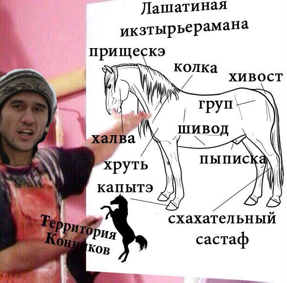 Ve_DCl6nzPI.jpg