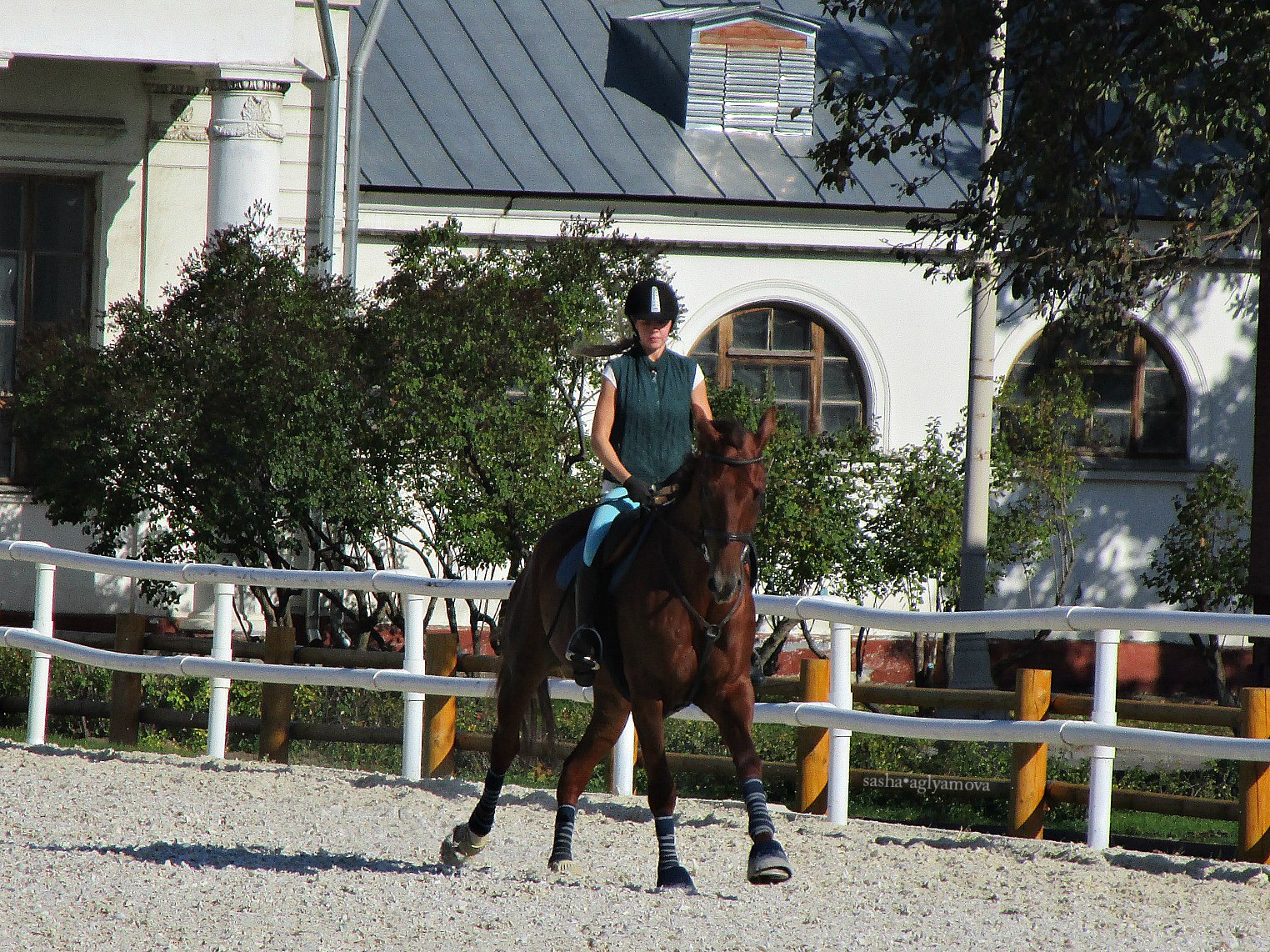 верховая езда.jpg