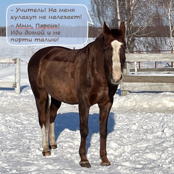 вес1.jpg