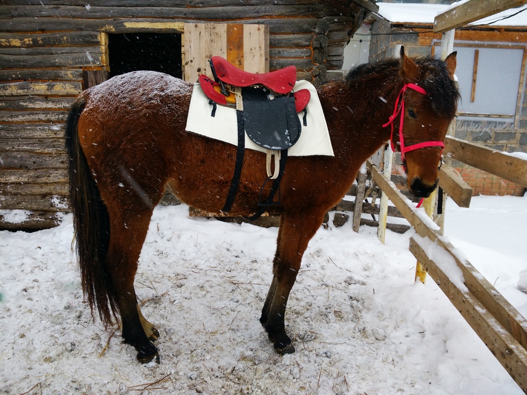 весна.jpg