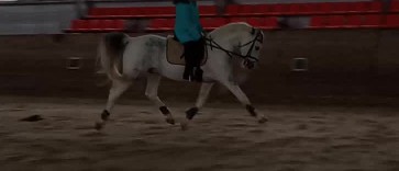 VID_20190206_094356_00_2065_246.jpg
