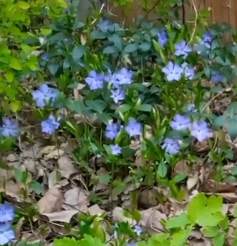 VID_20220510_165509_exported_18134~3.jpg