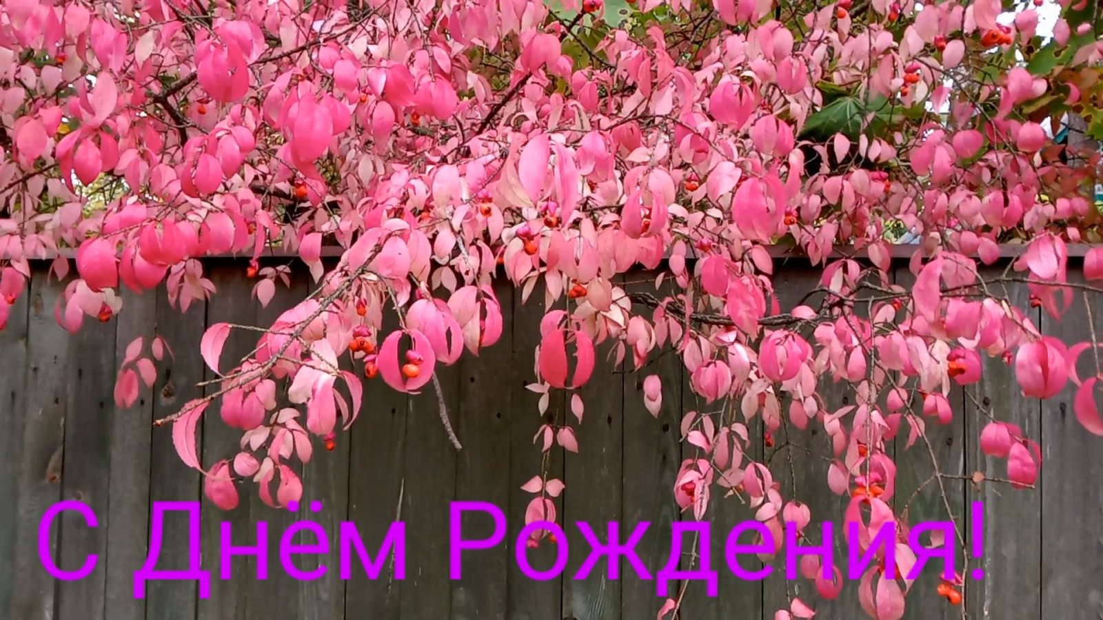 VID_20220923_100917_exported_903~2.jpg