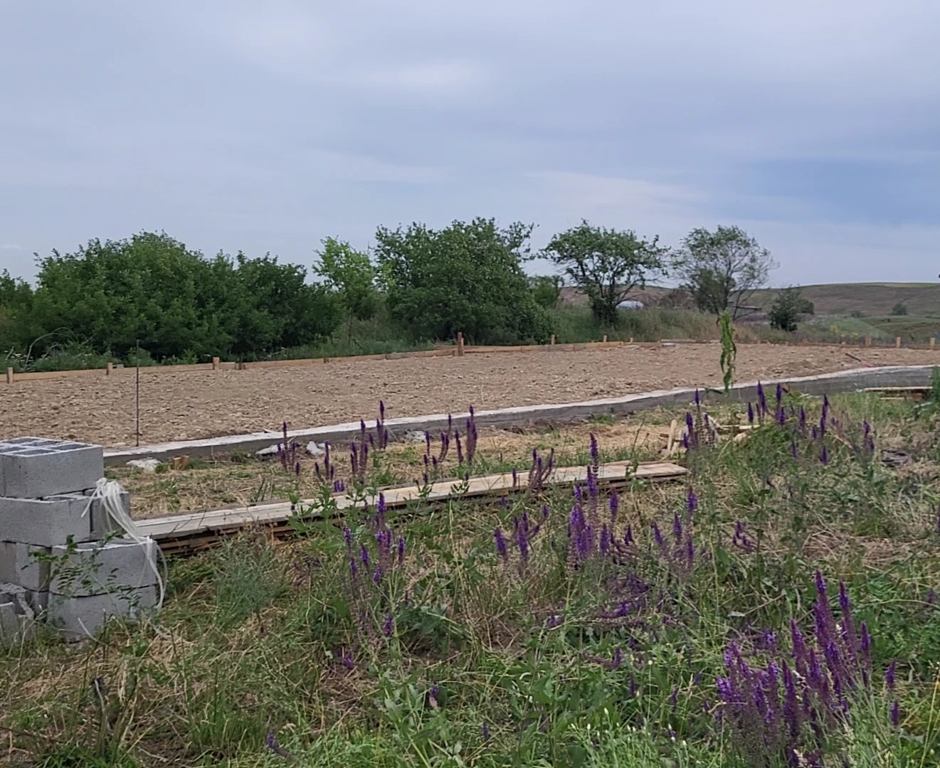 VideoCapture_20220619-125620.jpg