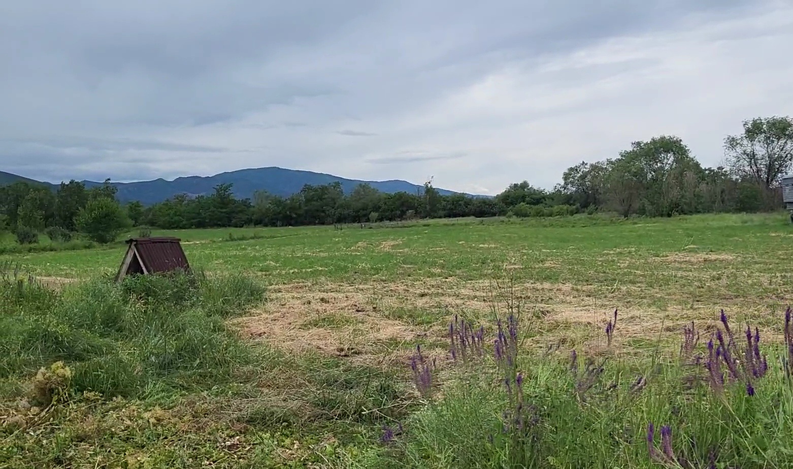 VideoCapture_20220619-125732.jpg