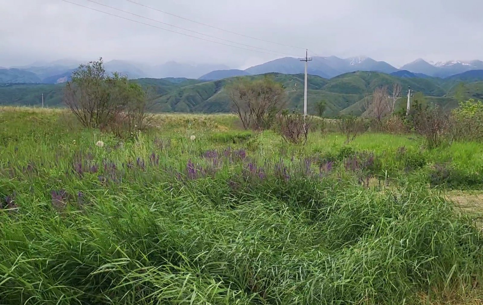 VideoCapture_20220619-125826.jpg