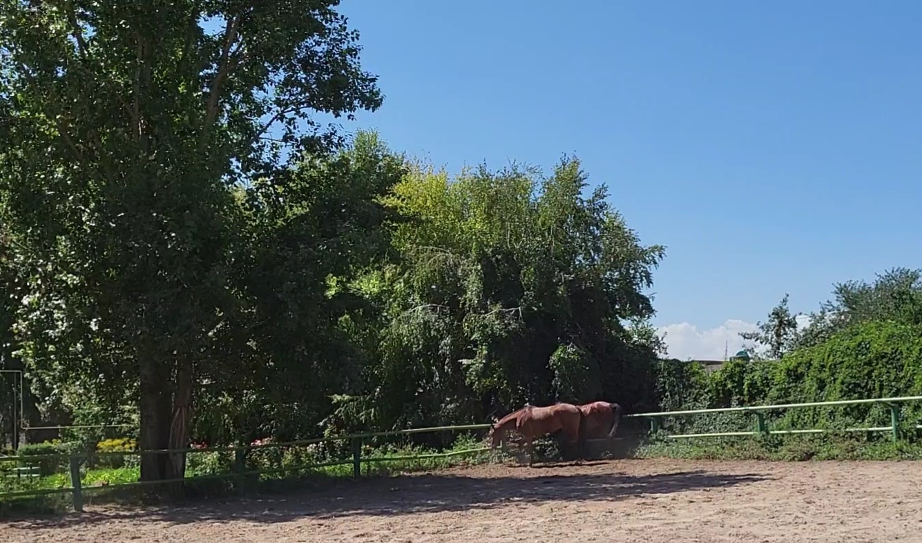 VideoCapture_20220803-080502.jpg