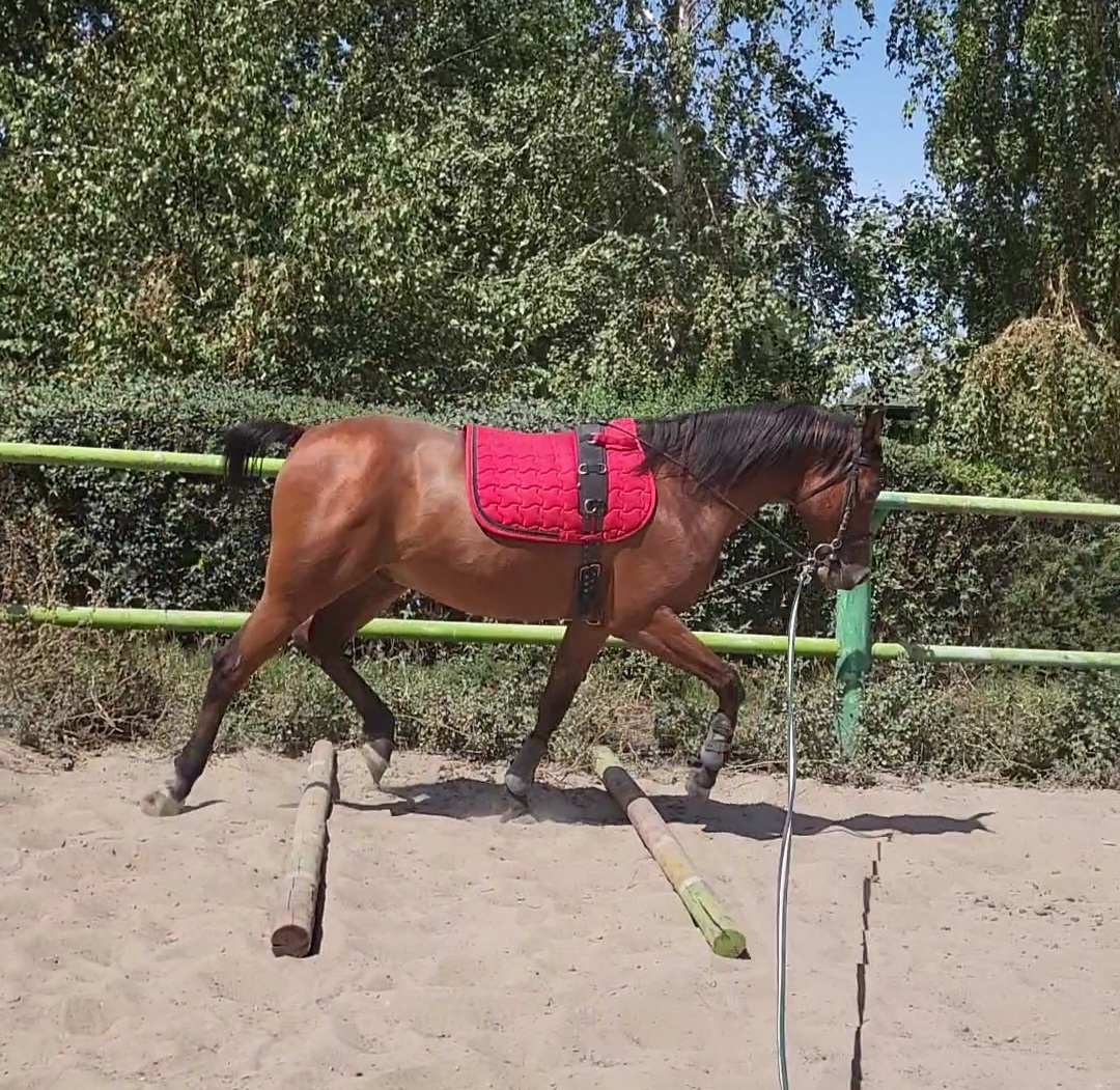 VideoCapture_20220824-180534.jpg